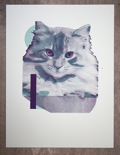 Limited Edition | Syntax der Katze Poster